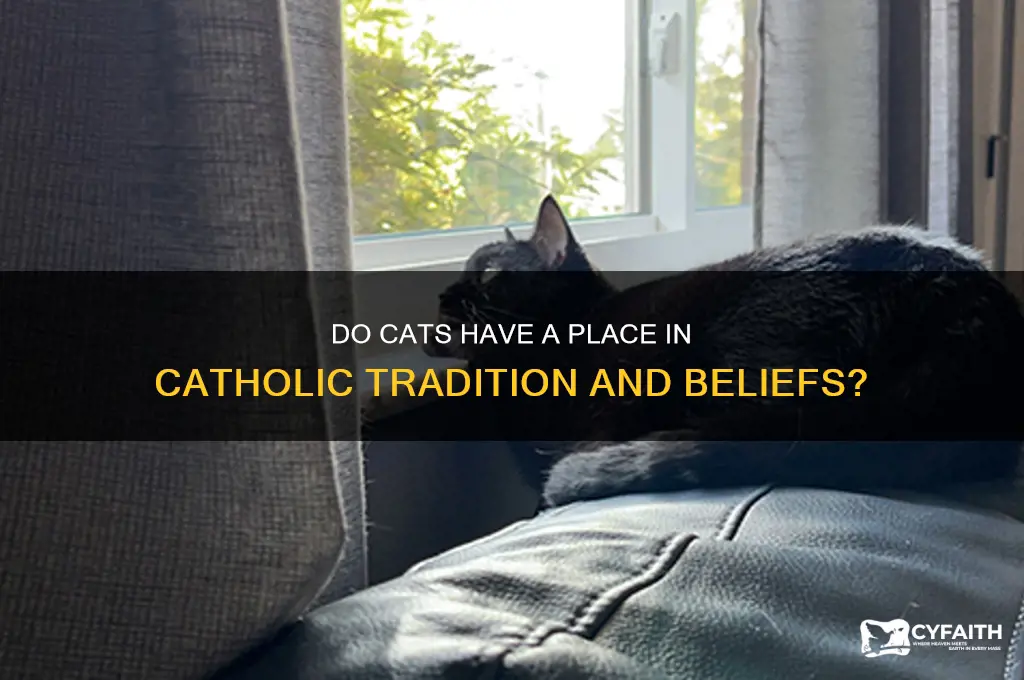 do cat catholic