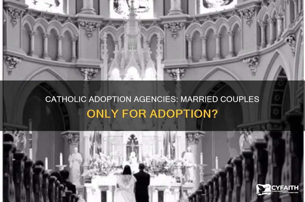 do catholic adoption agencies only allow married couples to adopt