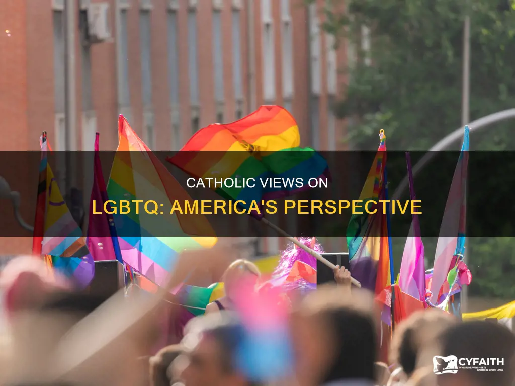 do catholic approve of lgbtq america