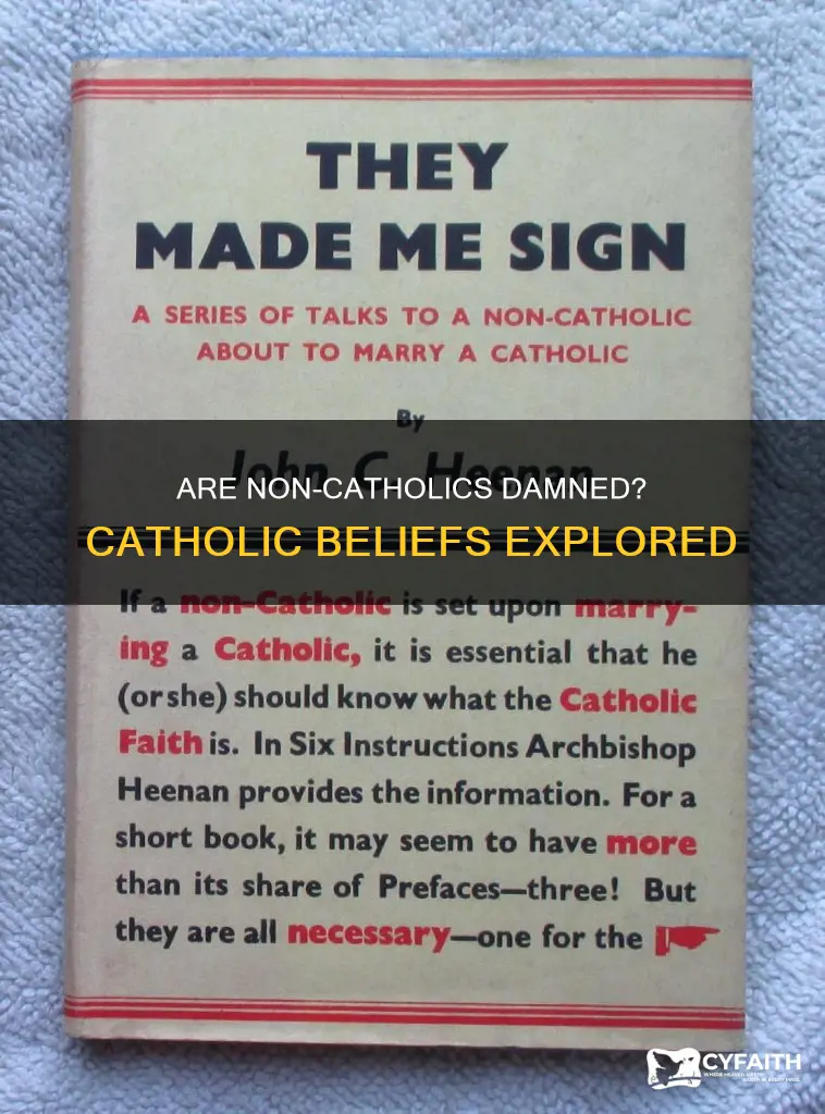 do catholic beileve noncatholics are damned
