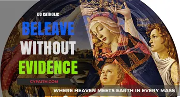 Do Catholics Believe Without Evidence? Exploring Faith and Reason