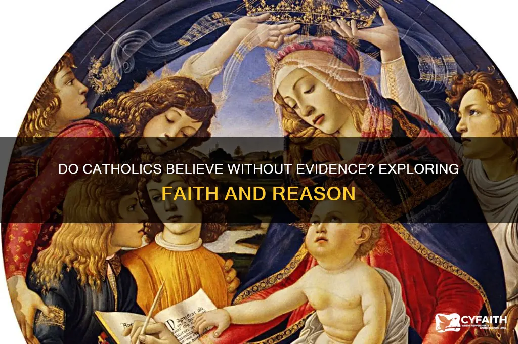 do catholic beleave without evidence