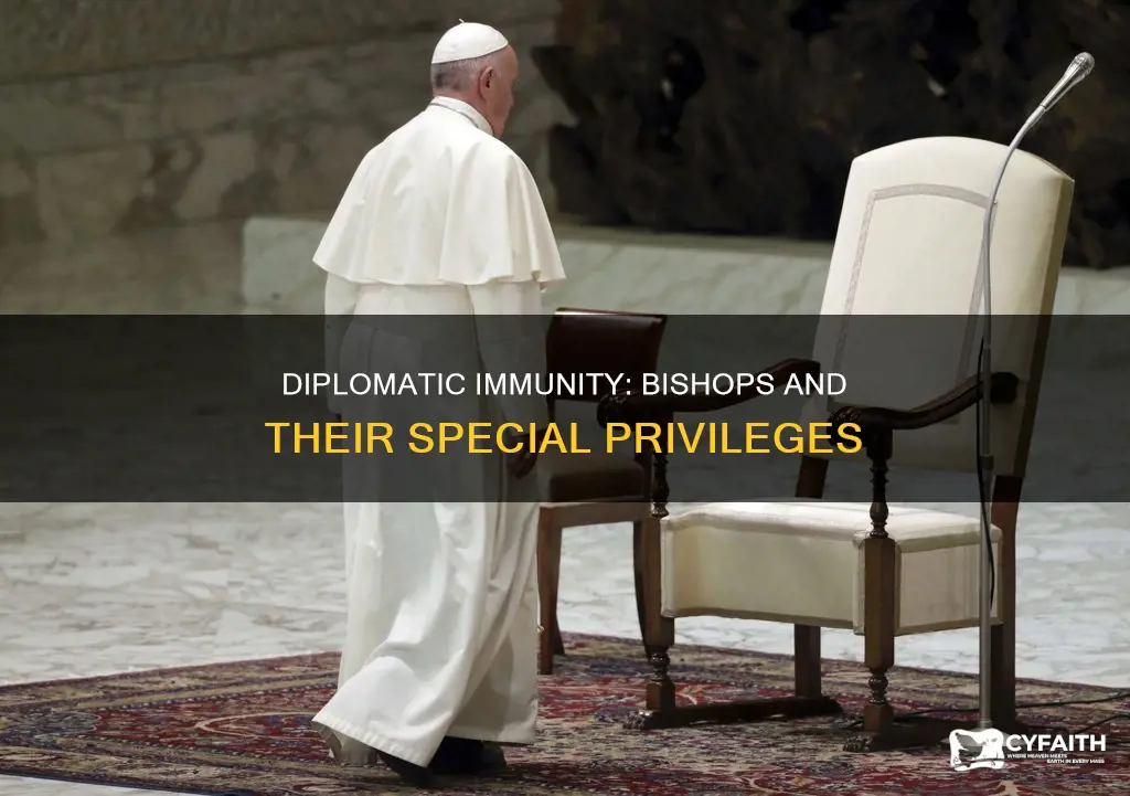 do catholic bishops have diplomatic immunity