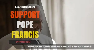 Pope Francis: Bishops' Support or Opposition?