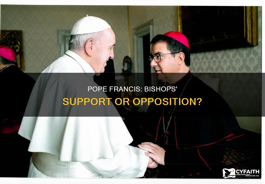 do catholic bishops support pope francis