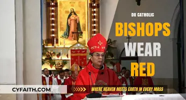 Do Catholic Bishops Wear Red? Unveiling Clerical Vestment Traditions