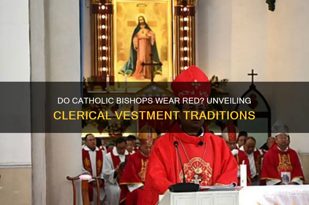 do catholic bishops wear red