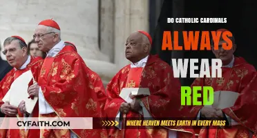 Why Cardinals Wear Red Vestments
