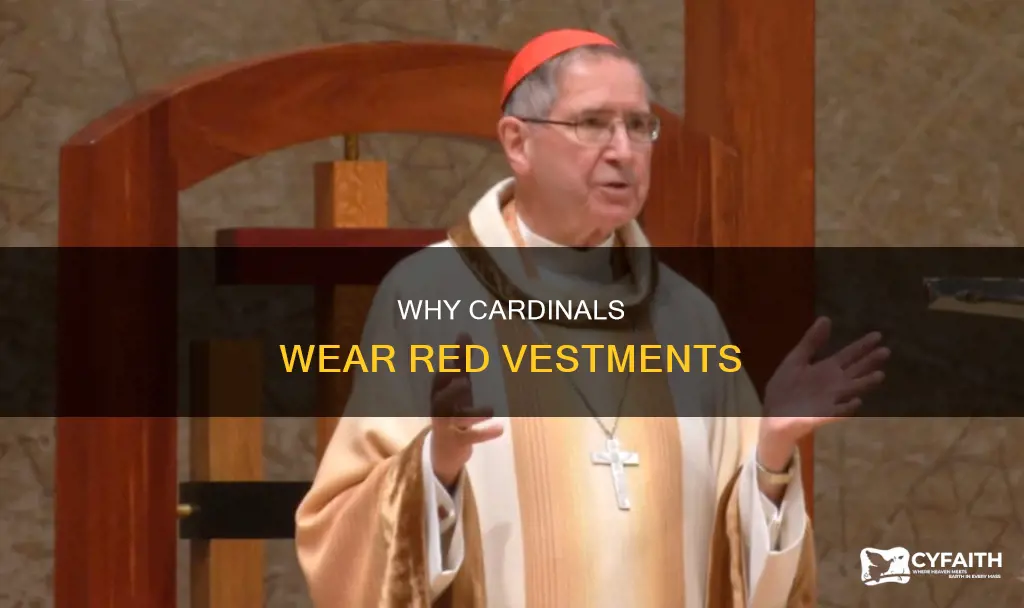 do catholic cardinals always wear red