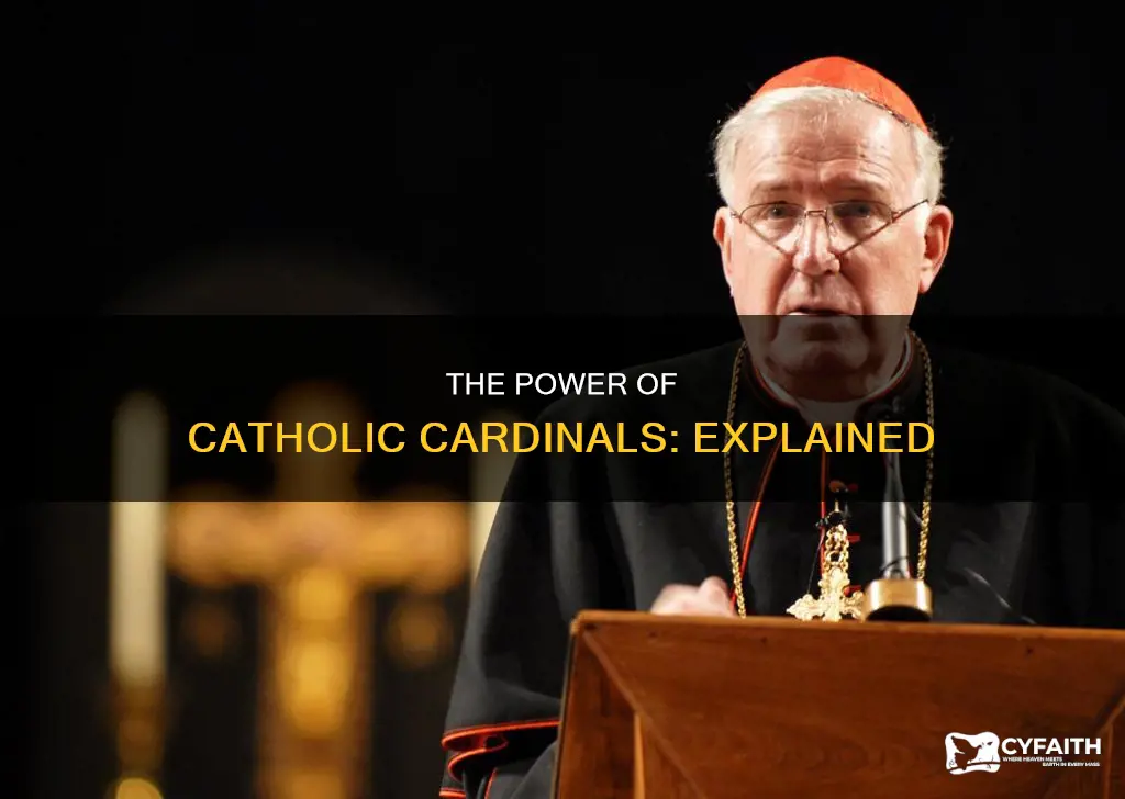 do catholic cardinals have much power