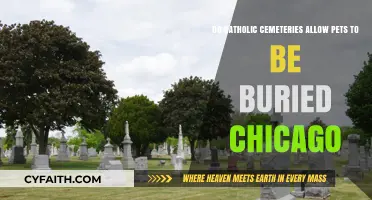 Can Pets Be Buried in Chicago's Catholic Cemeteries?