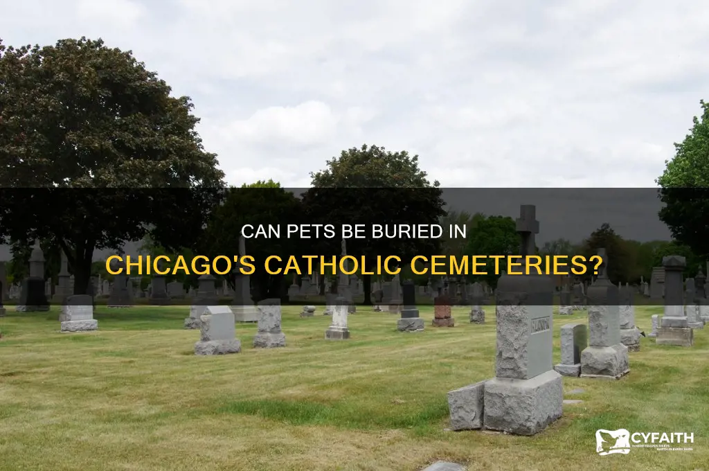 do catholic cemeteries allow pets to be buried chicago