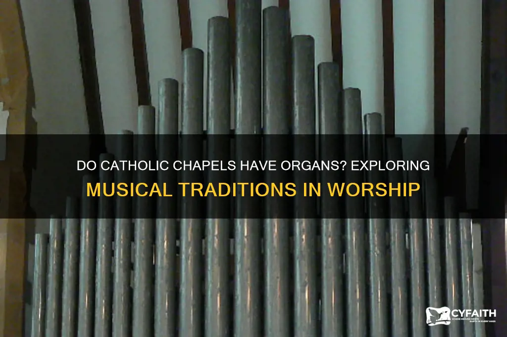 do catholic chapels have organs