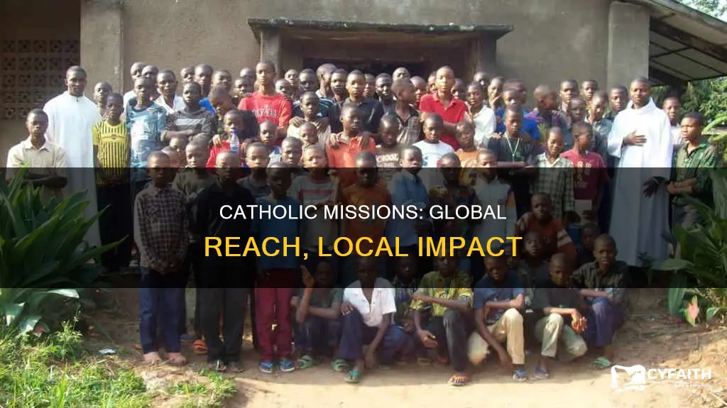 do catholic churchrs have missions abroad