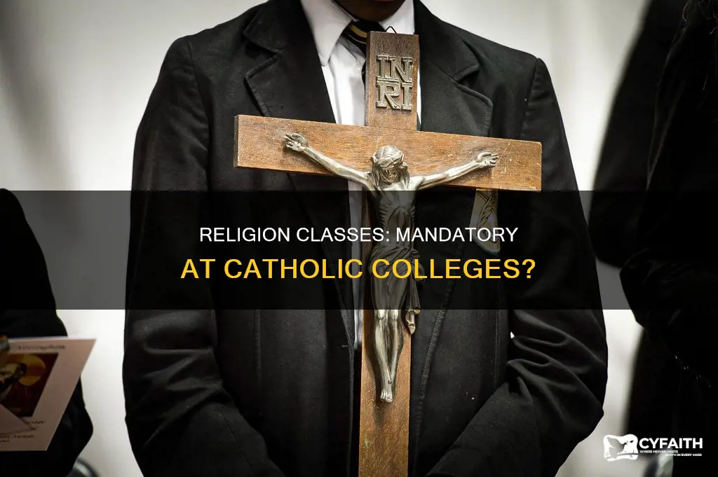 do catholic colleges require religion classes
