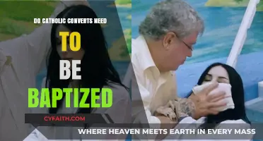 The Baptism Question for Catholic Converts