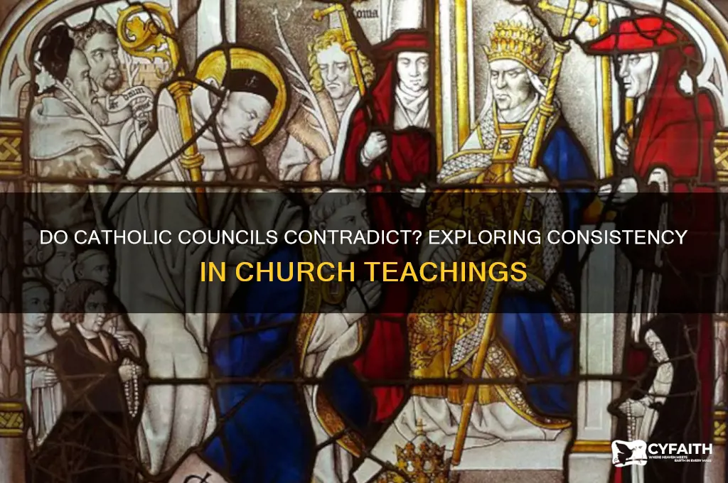 do catholic councils contradict