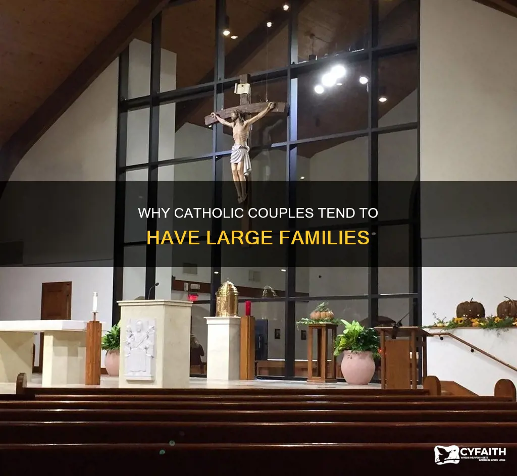 do catholic couples have a lot of kids