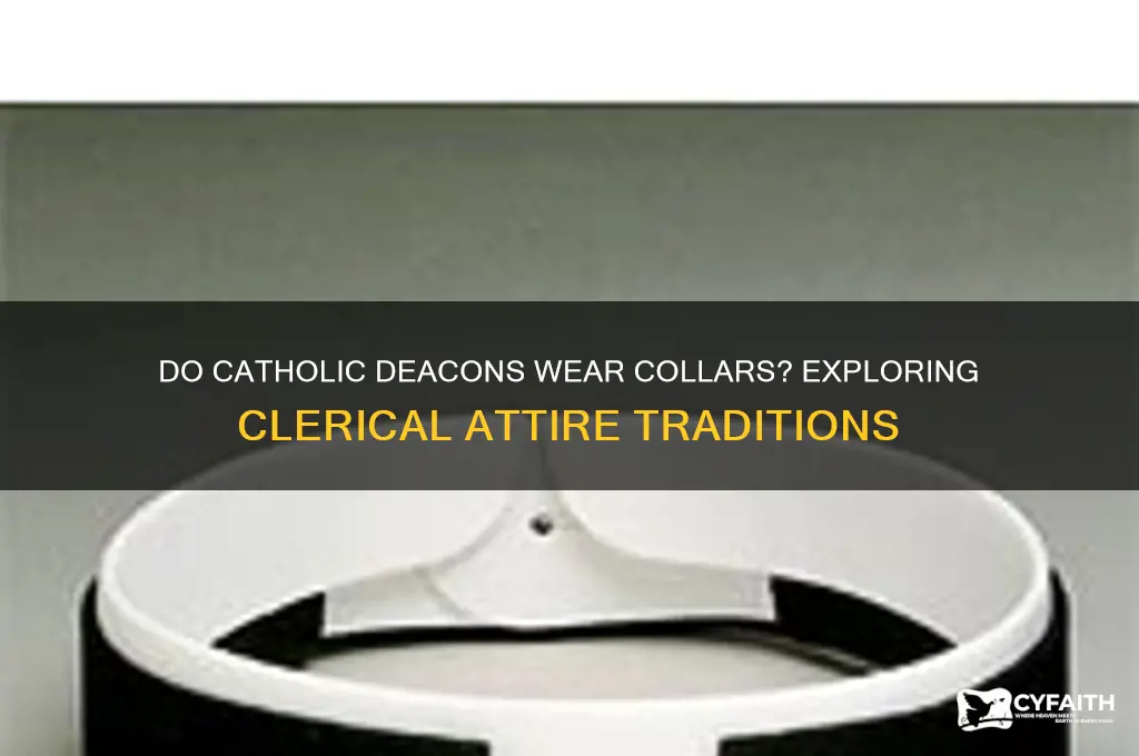 do catholic deacons wear collars