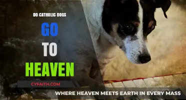 Do Catholic Dogs Go to Heaven?