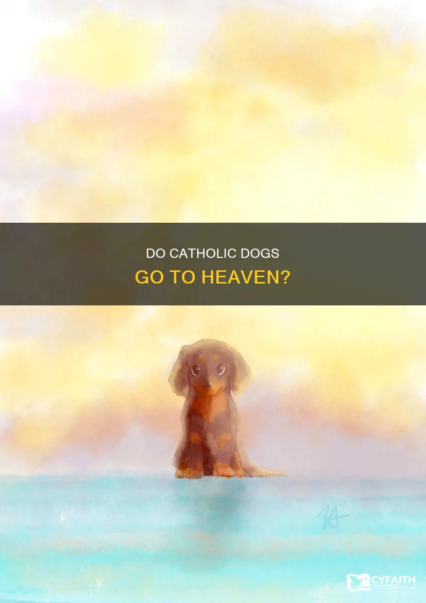 do catholic dogs go to heaven