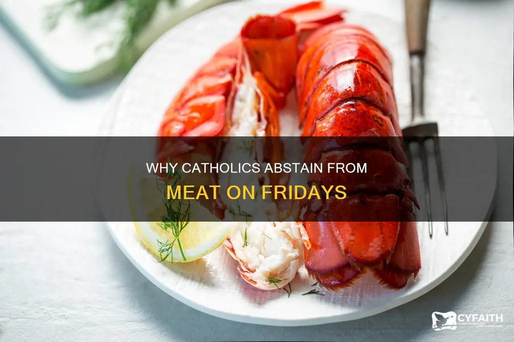 do catholic eat meat on friday