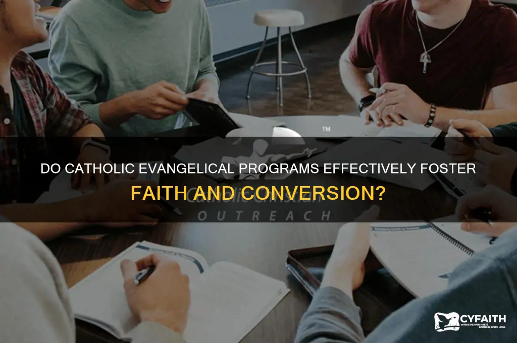 do catholic evangelical programs work
