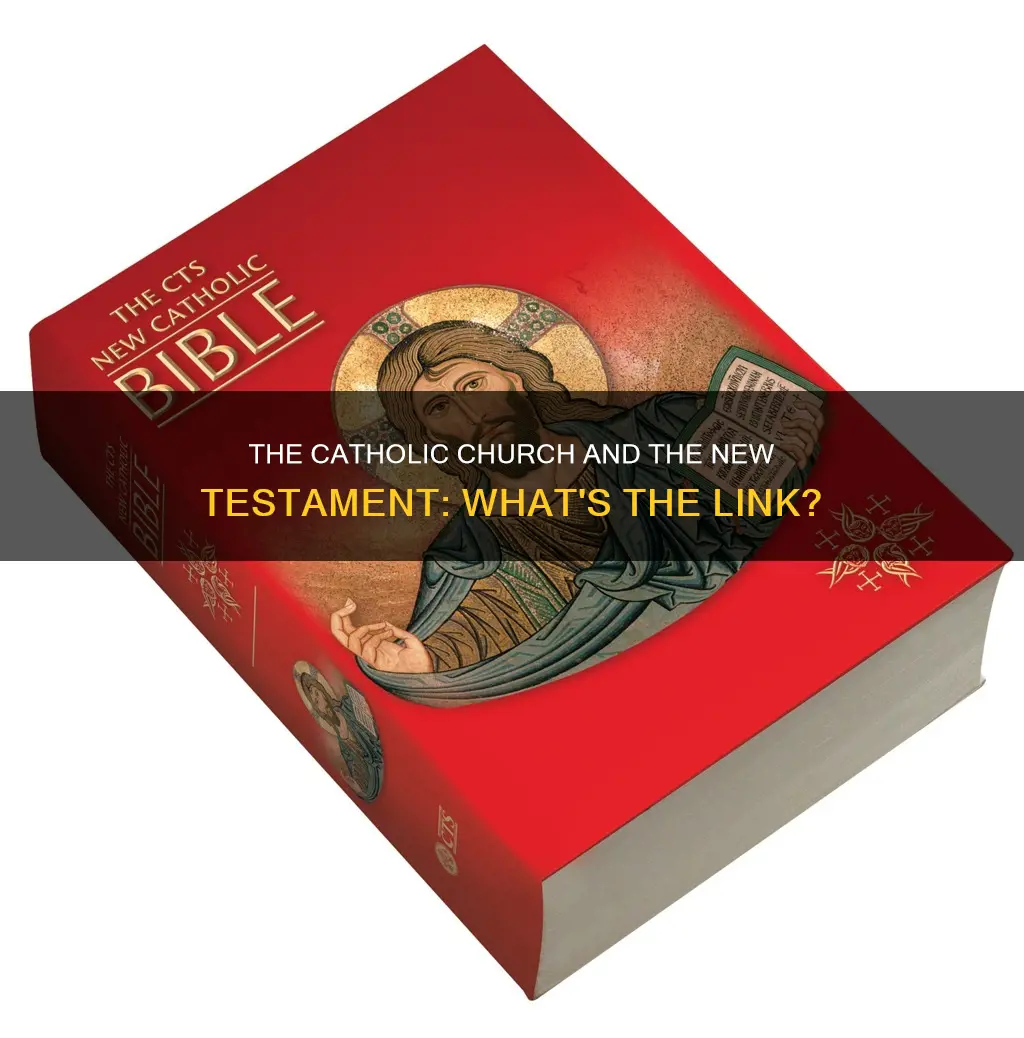 do catholic follow the new testment