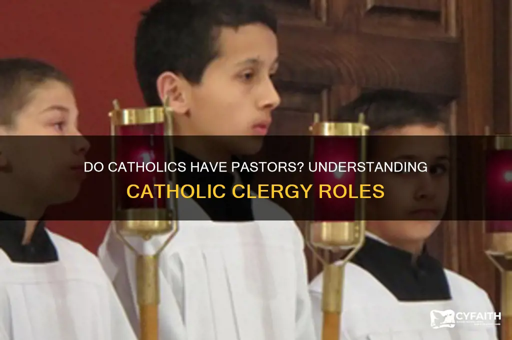 do catholic have pastor