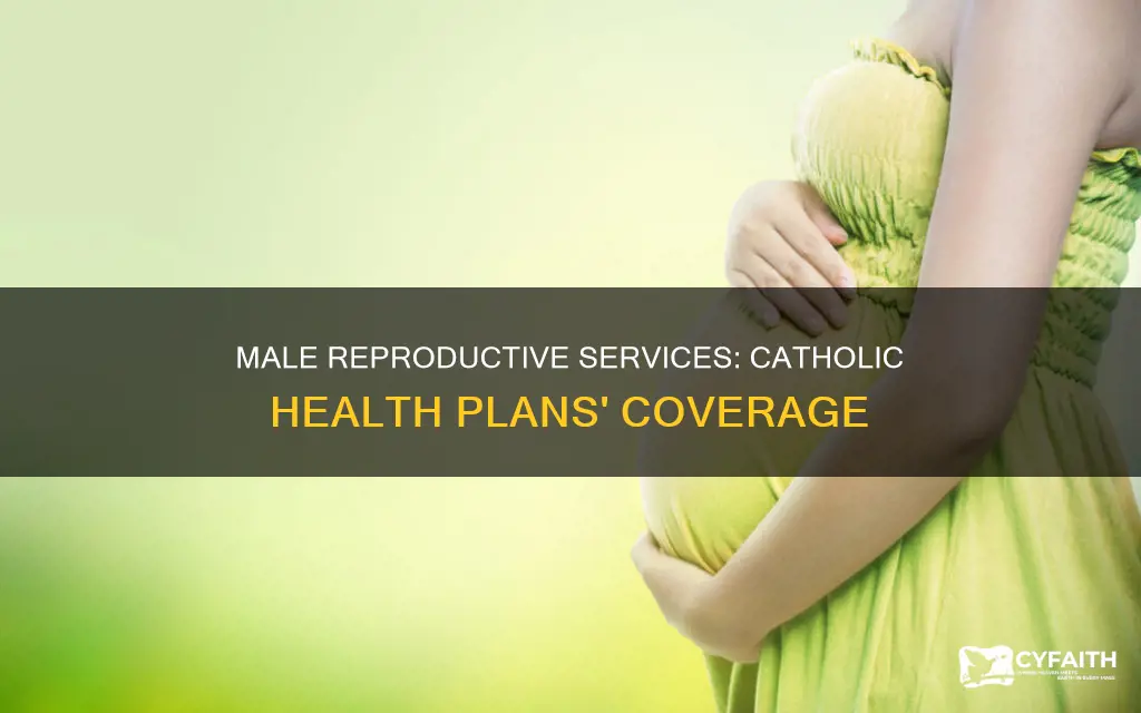 do catholic health plans cover male reproductive serivces