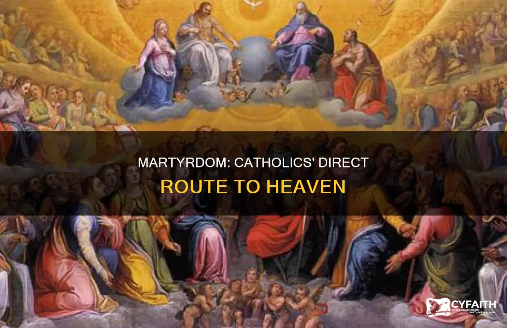 do catholic martyrs go straight to heaven