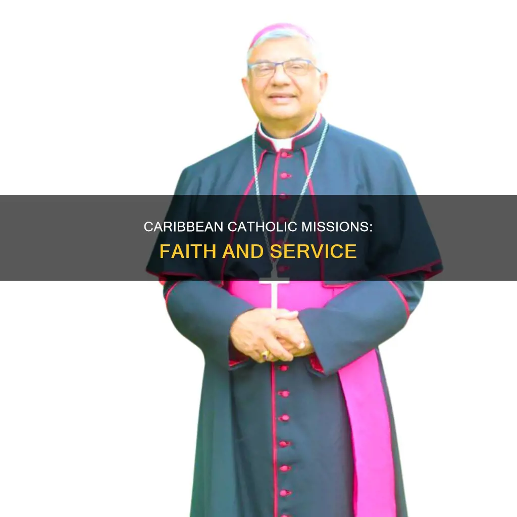 do catholic mission work in caribbean