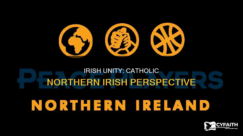 do catholic northern irish want ireland