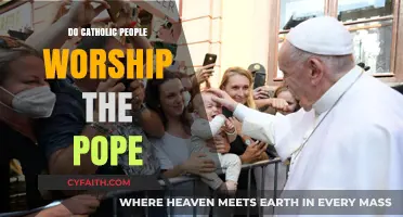 The Pope: Worship or Respect?
