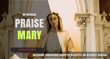 Do Catholics Worship Mary? Exploring Catholic Devotion and Veneration