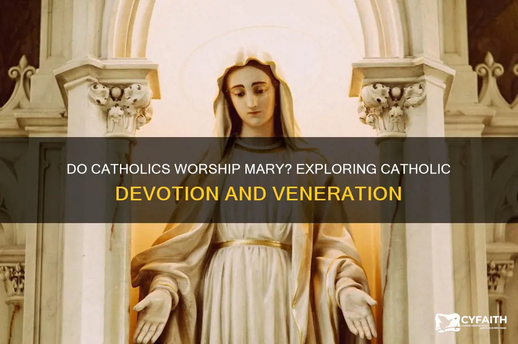 do catholic praise mary
