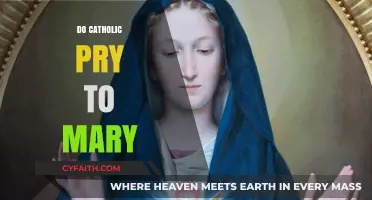 Do Catholics Pray to Mary? Understanding Marian Devotion in Catholicism