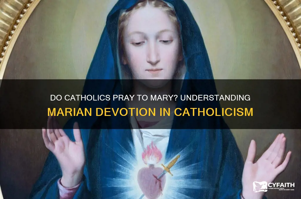 do catholic pry to mary