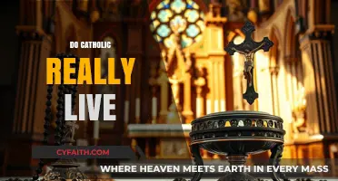 Do Catholics Really Live Their Faith in Today's World?