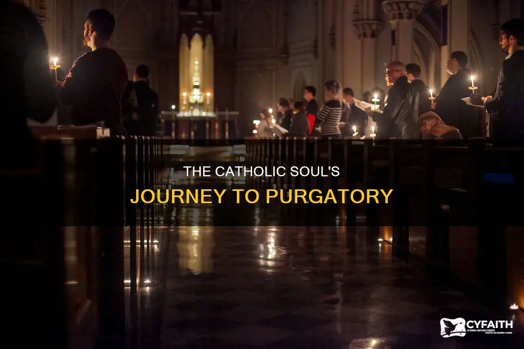 do catholic souls go to pergatory