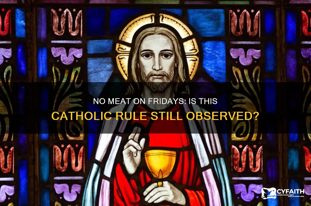 do catholic stil have the rule no meat on friday