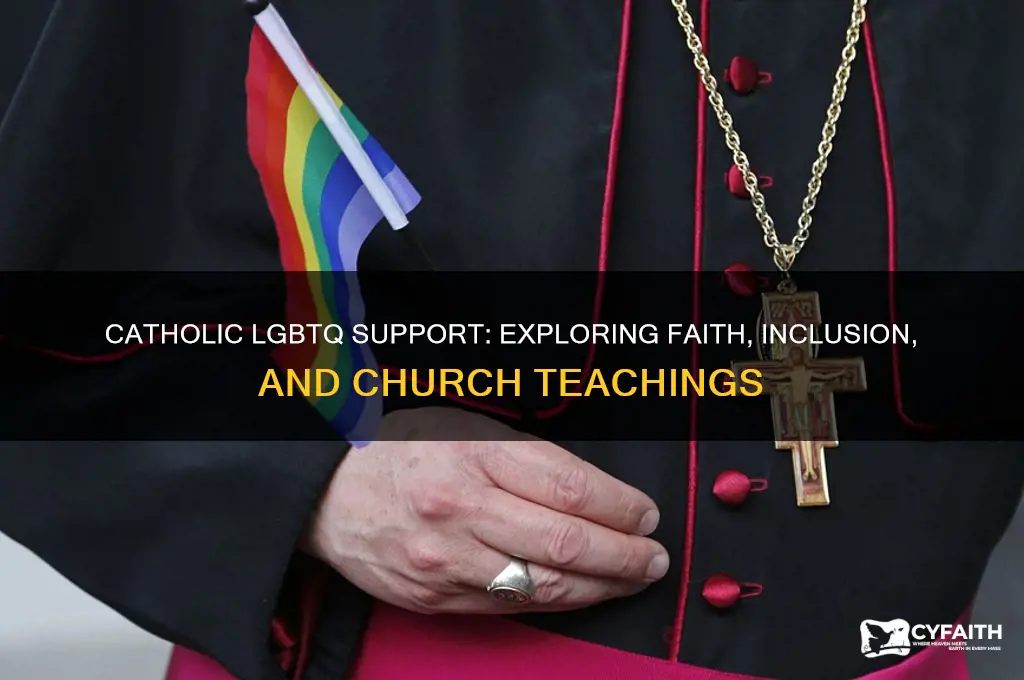 do catholic support lgbtq