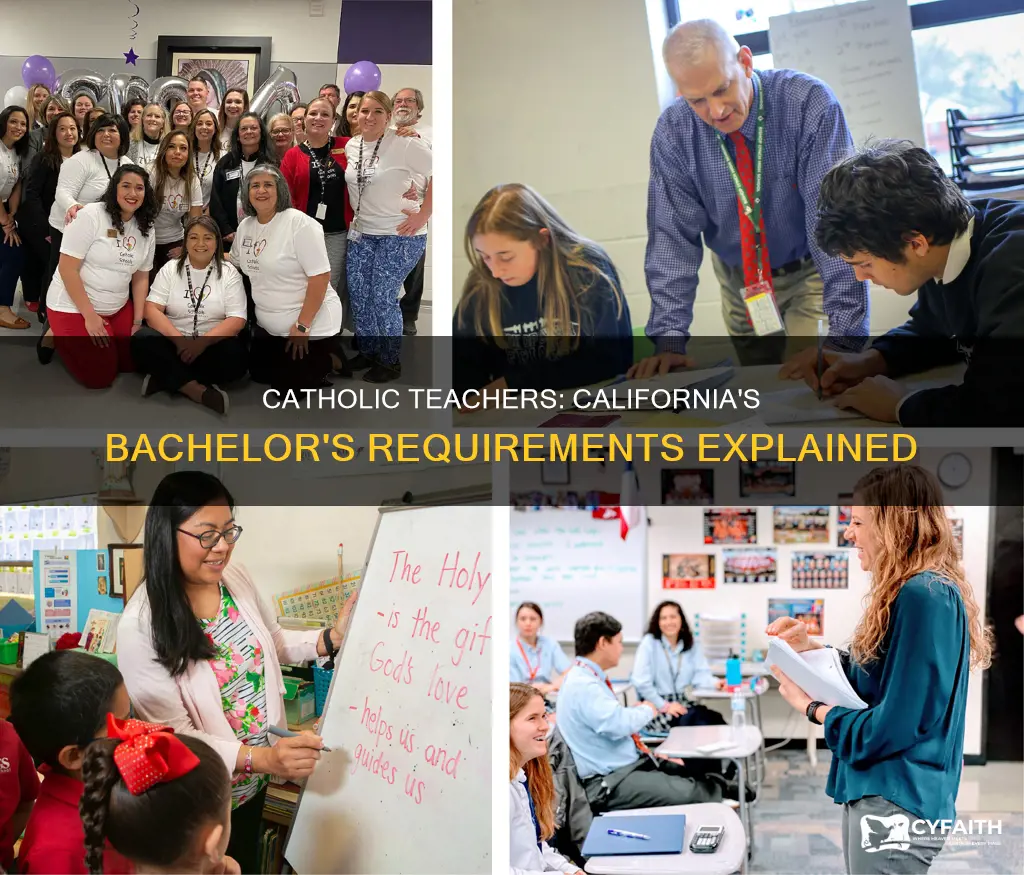 do catholic teachers have a bachelors in california