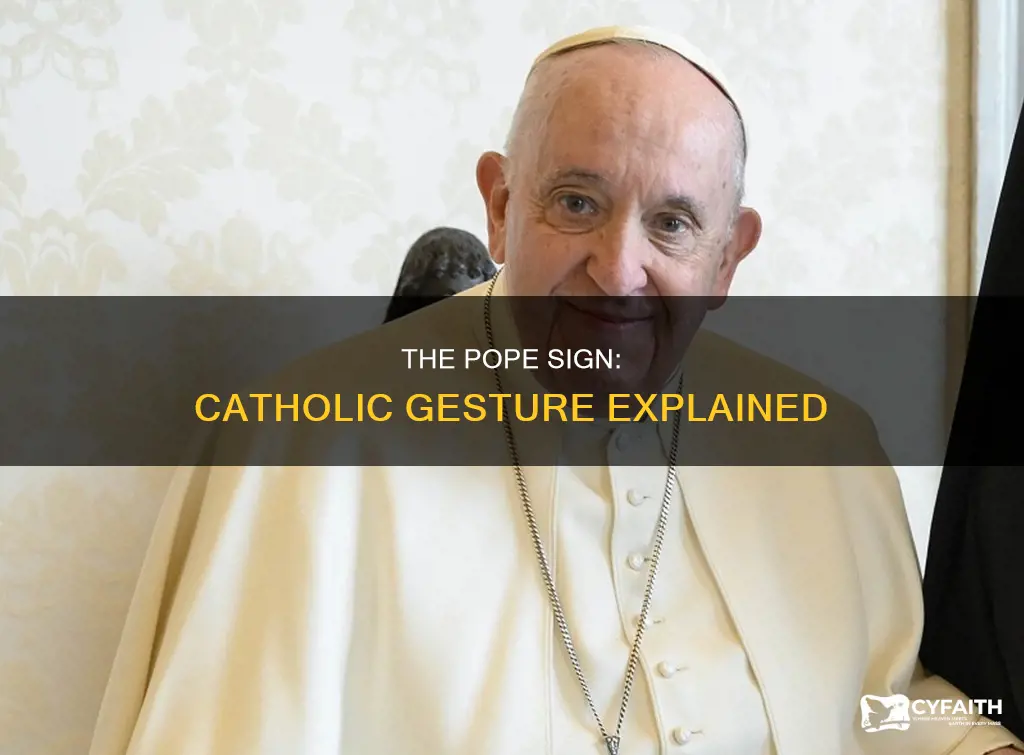 do catholic using the pope sign