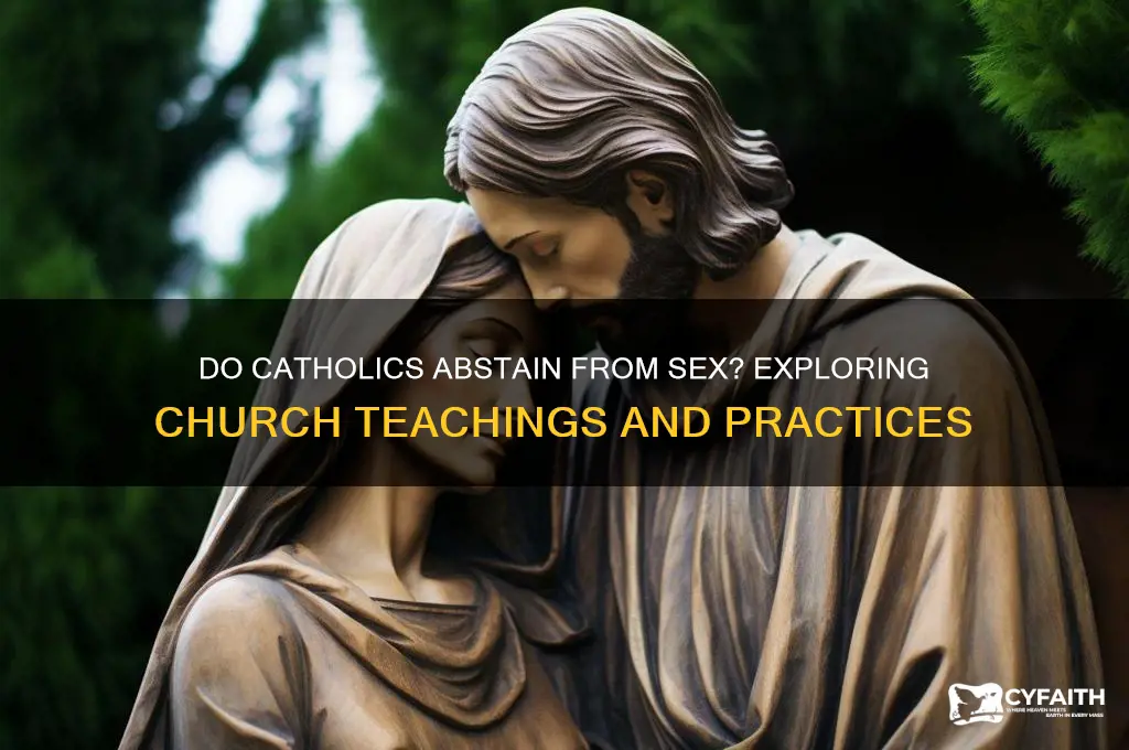 do catholics abstain from sex