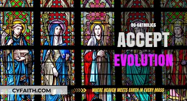 Do Catholics Accept Evolution? Exploring Faith and Science Harmony