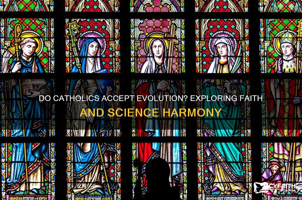 do catholics accept evolution
