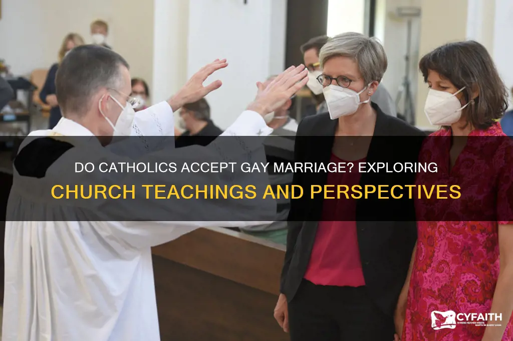 do catholics accept gay marriage