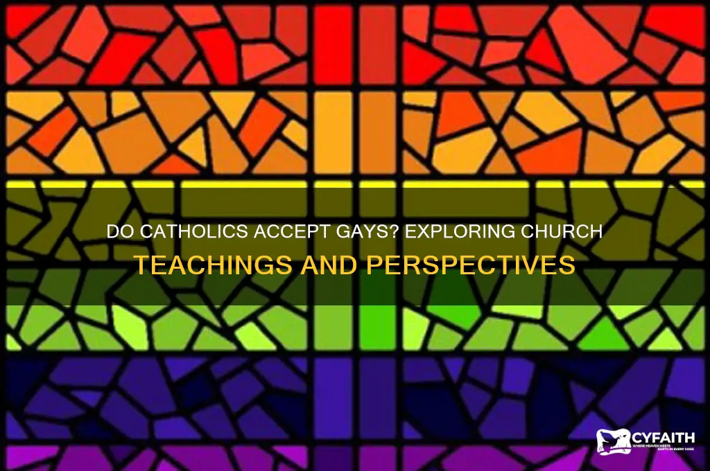 do catholics accept gays