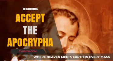 Do Catholics Accept the Apocrypha? Exploring Scriptural Traditions